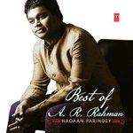 Best Of A.R. Rahman - Saleem Sabri Song Download